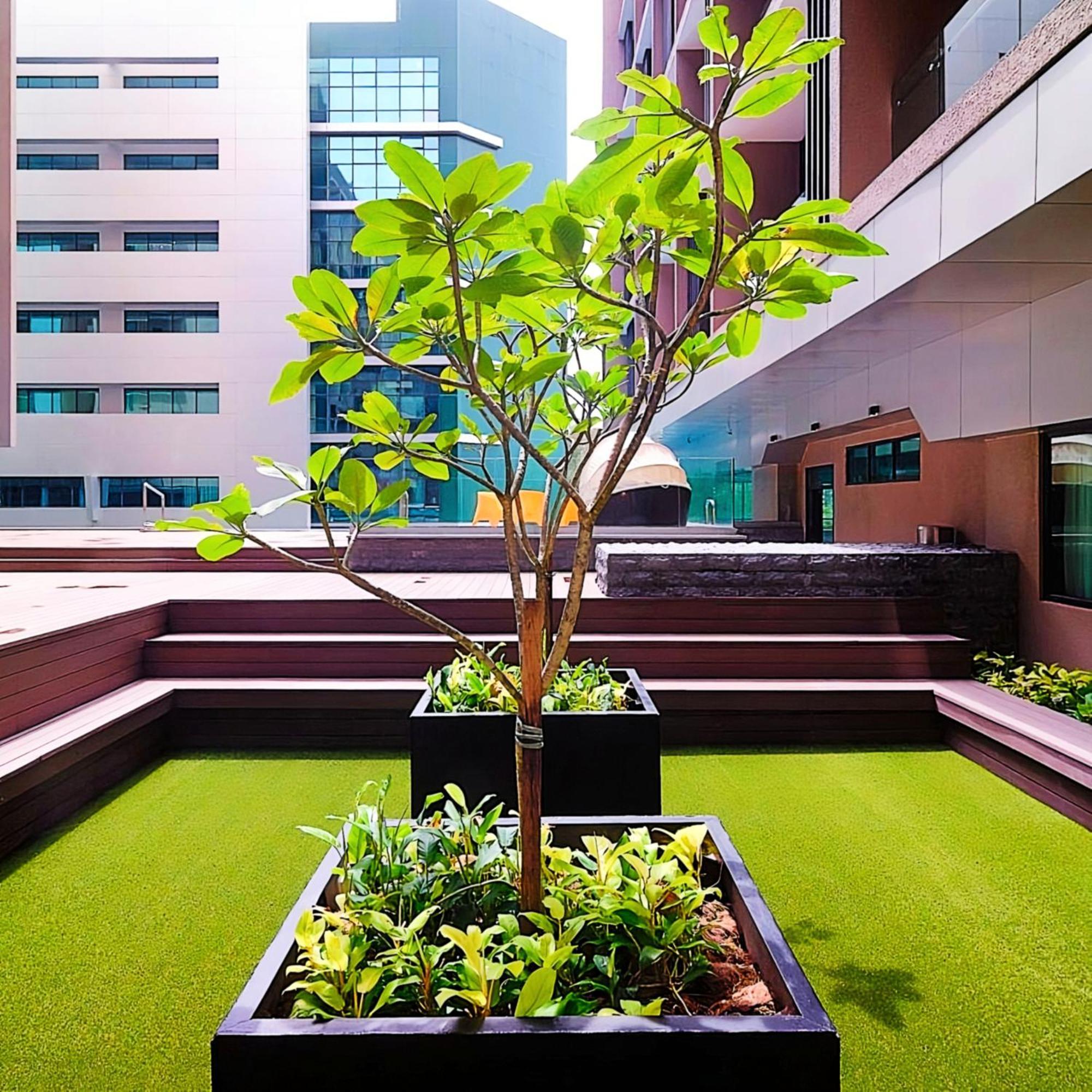 D'Casa Riverson At Kota Kinabalu Dış mekan fotoğraf